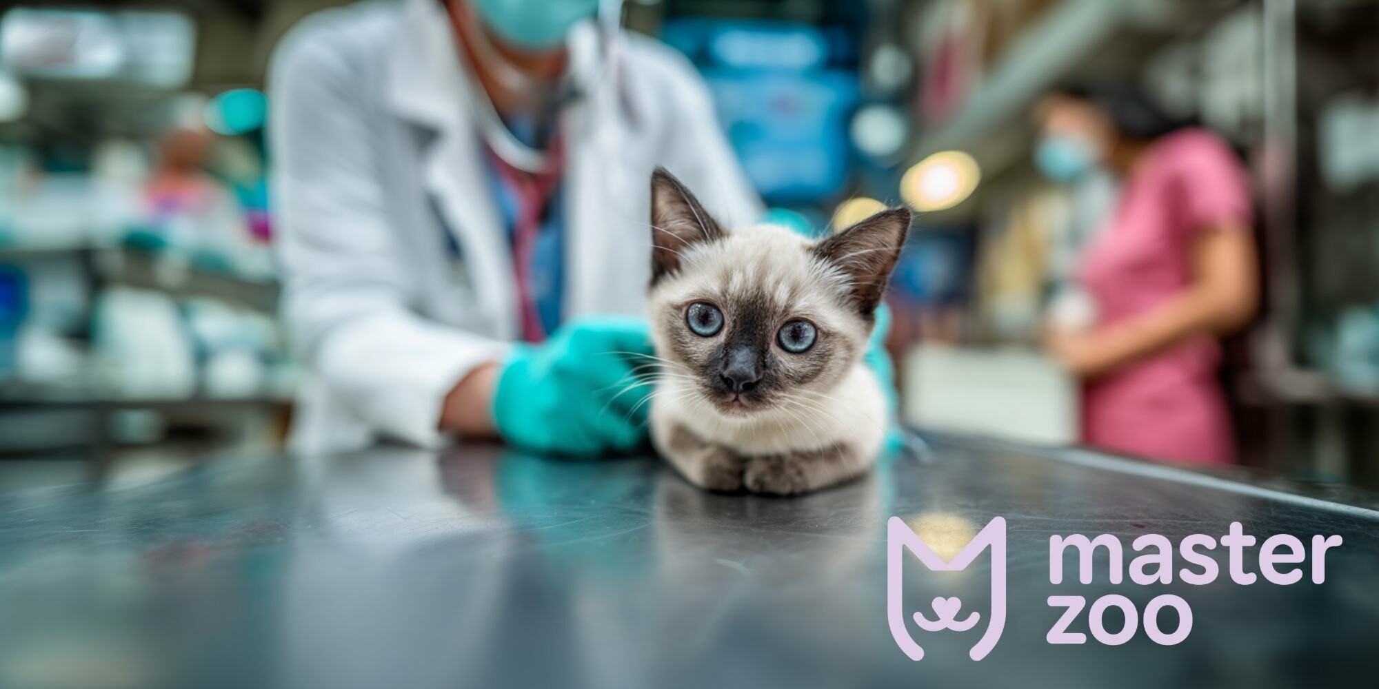 лечение ушного клеща у котенка