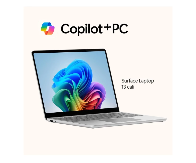 Microsoft Surface Laptop Copilot+ PC 13" X Plus/16GB/256GB (platinum) (EP2-37033) - Изображение 7