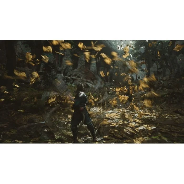Sony Black Myth: Wukong, BD диск (5056635611864) (UA) - Изображение 4