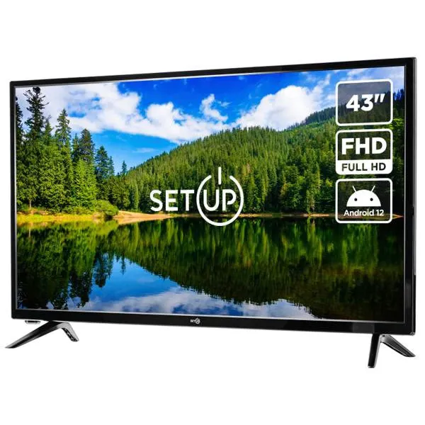 SETUP 43FSF30 - Изображение 1