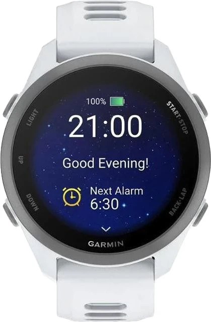 Смарт-часы Garmin Forerunner 170 Music Whitestone with Whitestone/Cloud Blue Band (010-03920-01/11) - Изображение 1