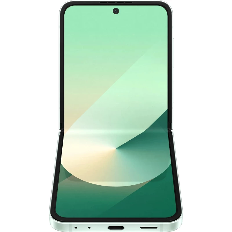 Samsung Galaxy Flip6 12/256GB Mint (SM-F741BLGG) - Изображение 4