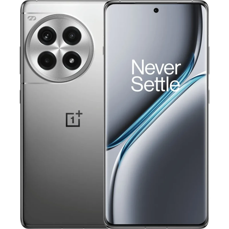 OnePlus Ace 3 Pro PJX110 12/256Gb Gray
