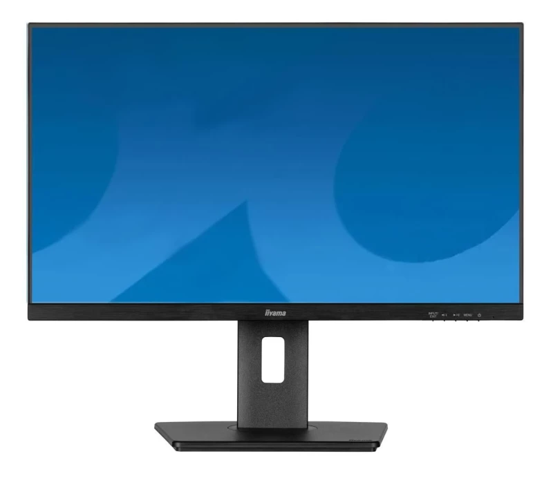 iiyama ProLite XUB2497HSU-B2 (XUB2497HSU-B2) EU