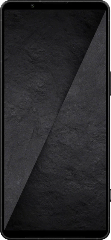 Sony Xperia 1 VIII XQ-GE74 12/512GB Graphite Black - Изображение 2
