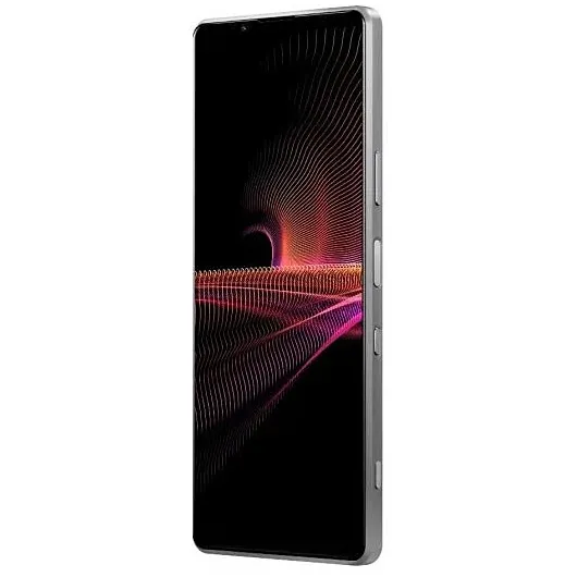 Sony Xperia 1 III 12/512GB Frosted Gray - Изображение 3