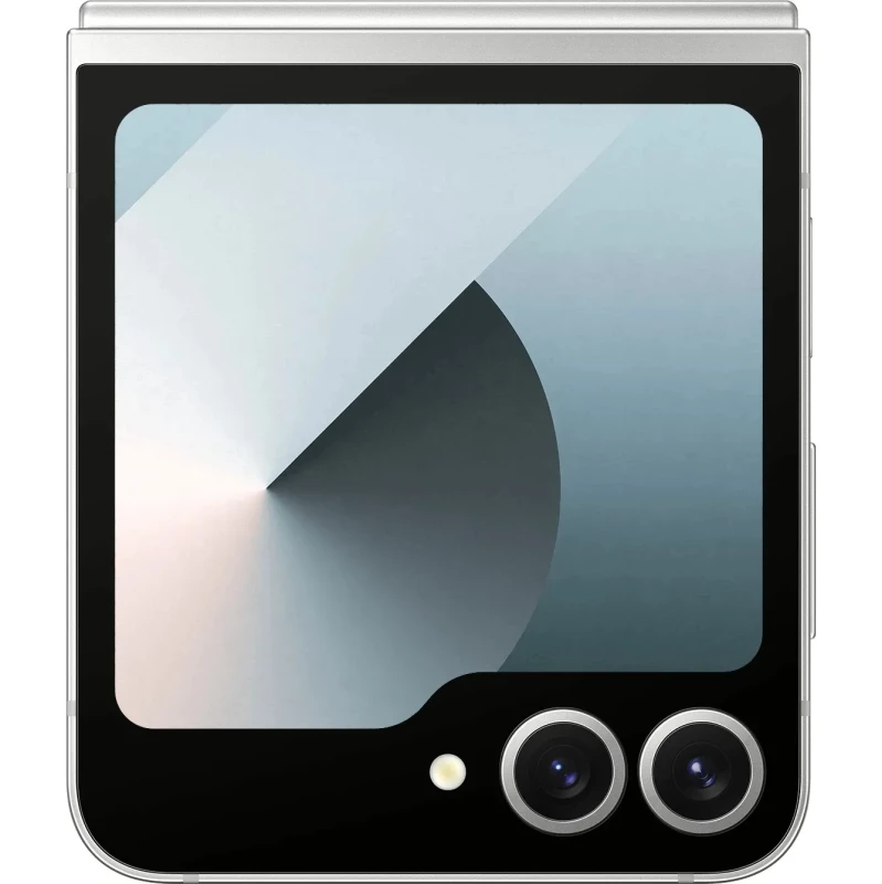 Samsung Galaxy Flip6 12/512GB Silver Shadow (SM-F741BZSH) - Изображение 2
