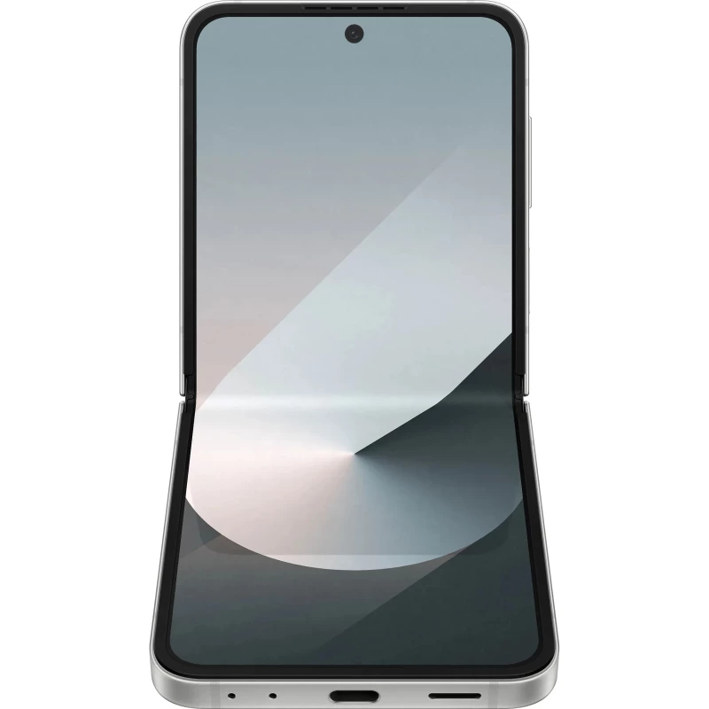 Samsung Galaxy Flip6 12/512GB Silver Shadow (SM-F741BZSH) - Изображение 4