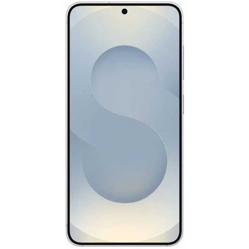 Samsung Galaxy S25 12/256GB Silver Shadow (SM-S931BZSG) (Уценка) - Зображення 1
