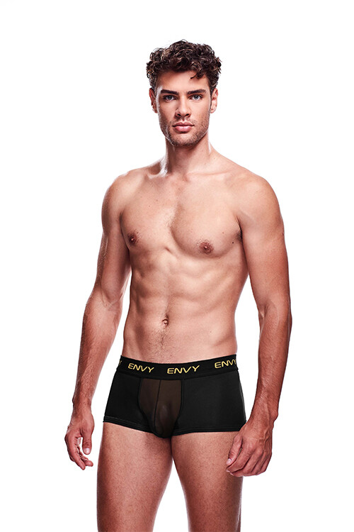 Труси сексуальні чоловічі M/L Envy, з сіточкою, чорні