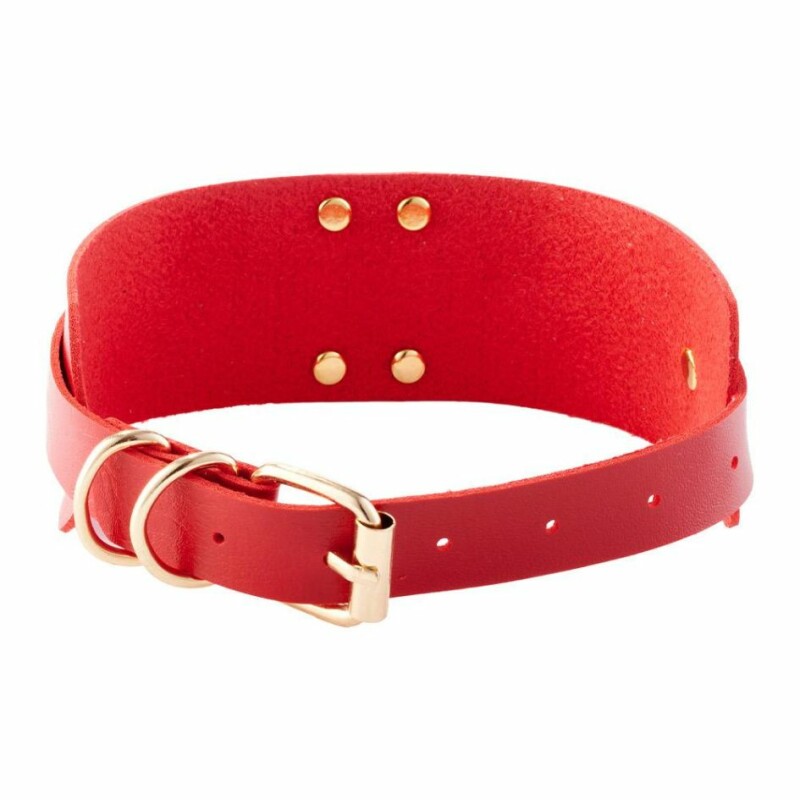 Нашийник з кільцем Kinky Diva O-Ring Collar Red/Gold червоний з золотими деталями - Зображення 2