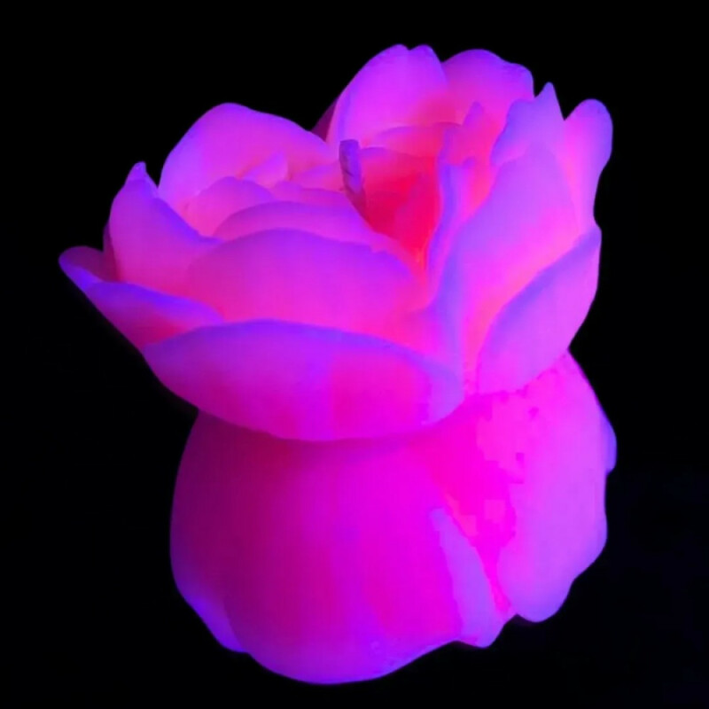 Свічка троянда люмінісцентна GlowKink 62 г, низькотемпературна, L, для БДСМ, персикова - Изображение 3