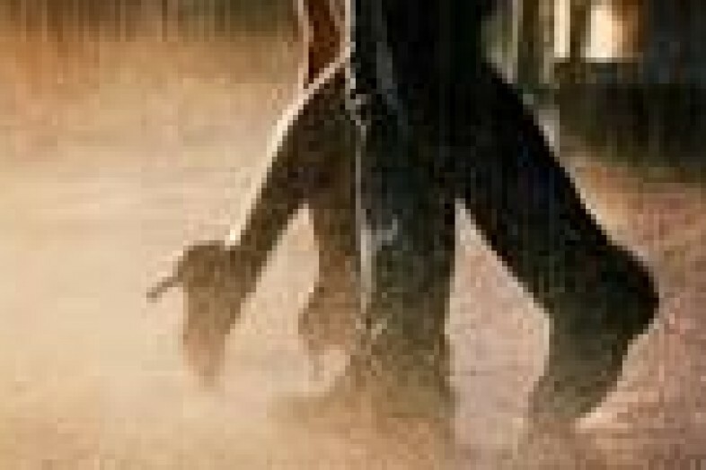 Молдаване сообщение. Общая этнопедагошка и этнопедагощка молдаван. Свободный танец. Танцы на природе. Балет фон.