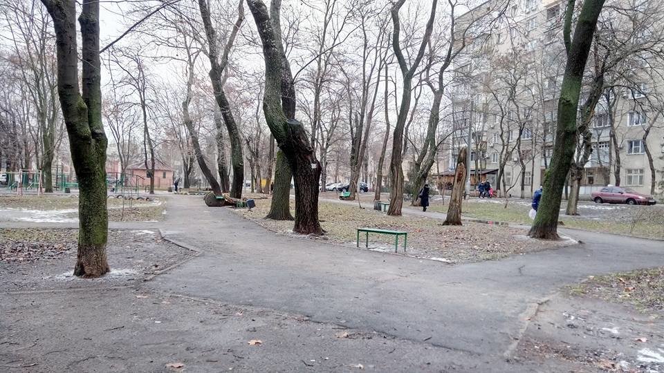 Фото: Иван Бошку