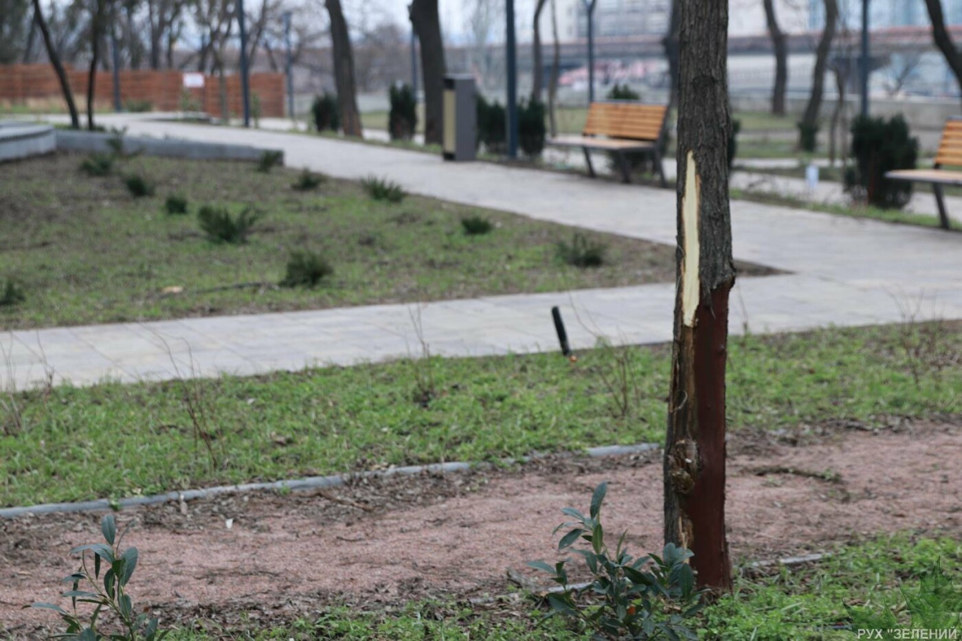 Фото: Владислав Балинский