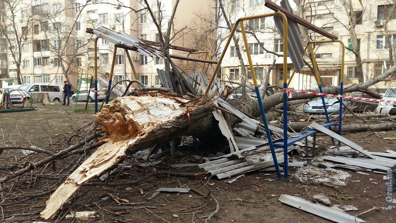 Фото: grad.ua