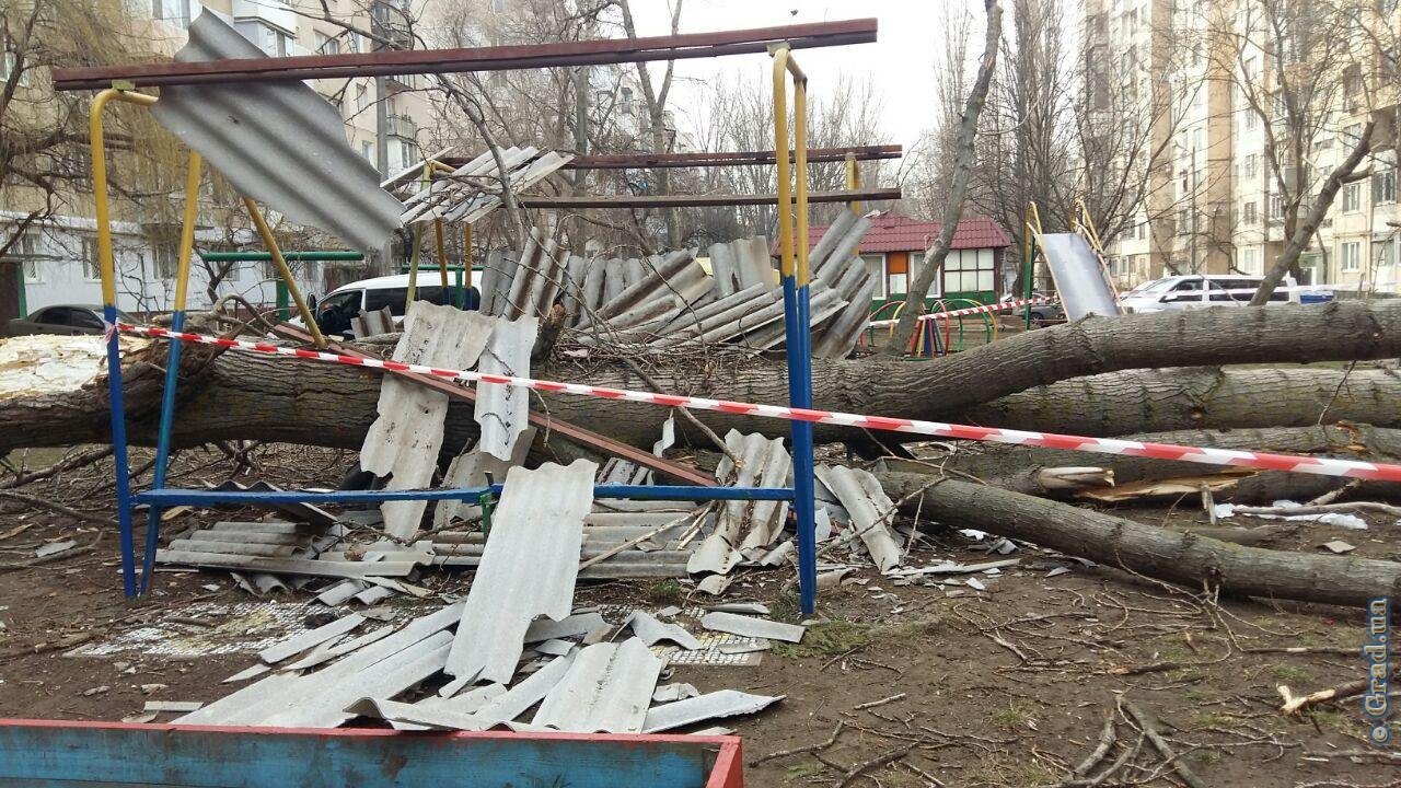 Фото: grad.ua