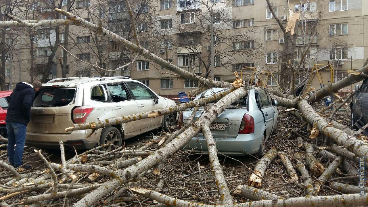 Фото: grad.ua