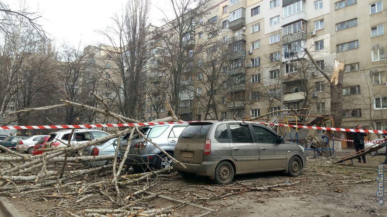 Фото: grad.ua