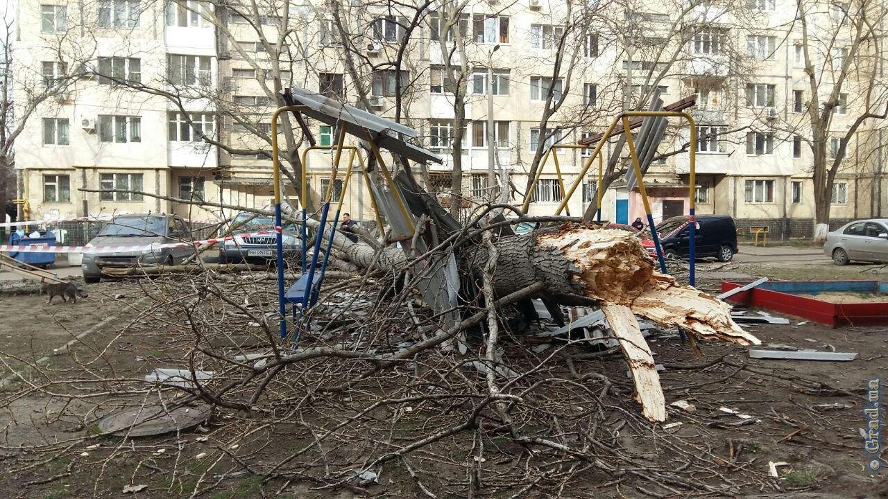 Фото: grad.ua