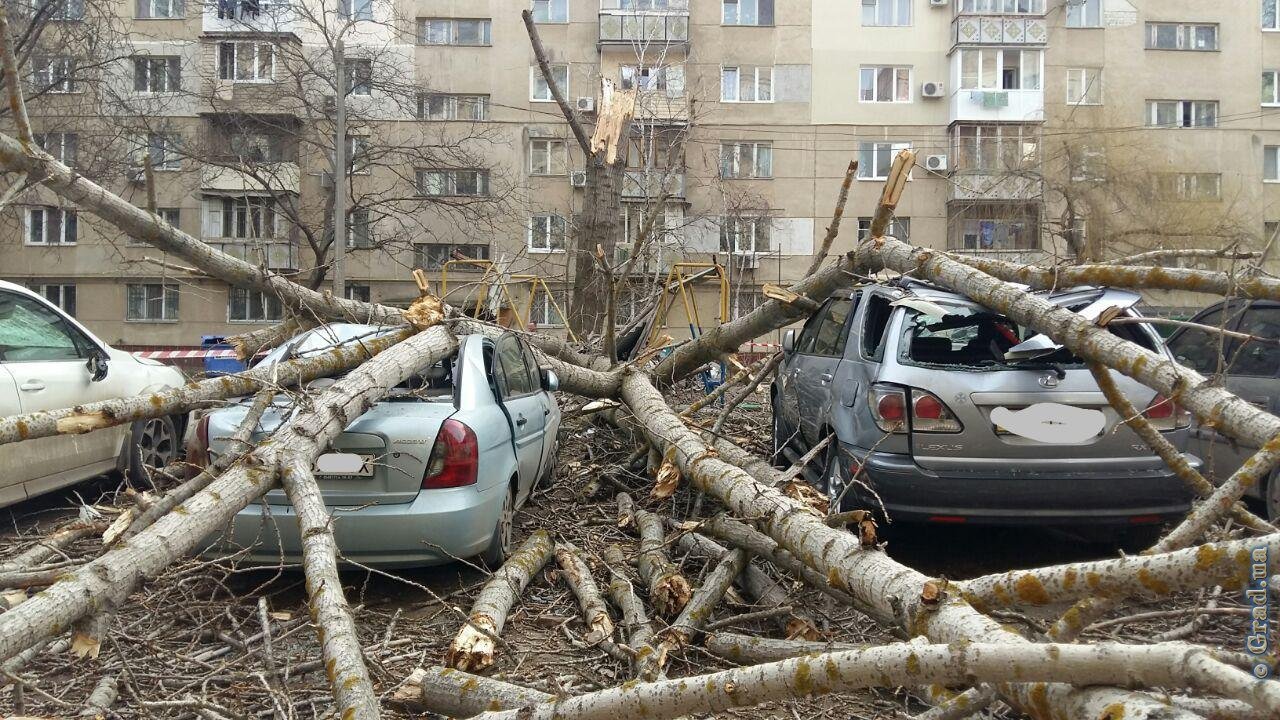 Фото: grad.ua