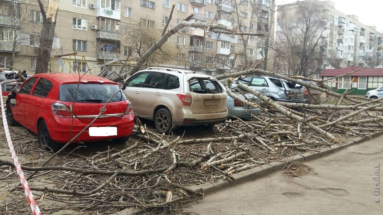 Фото: grad.ua