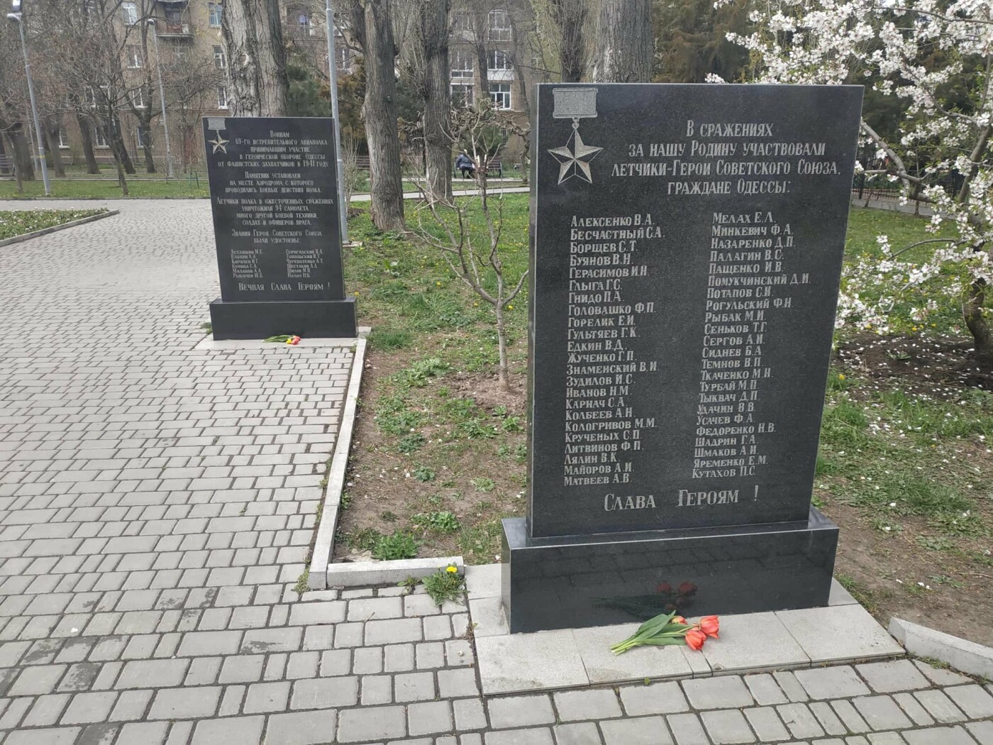 Фото: Александр Жирносенко