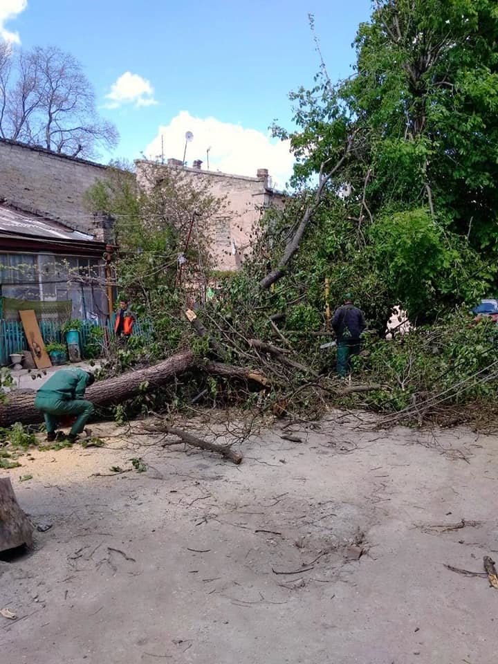 Фото: "Горзелентрест"