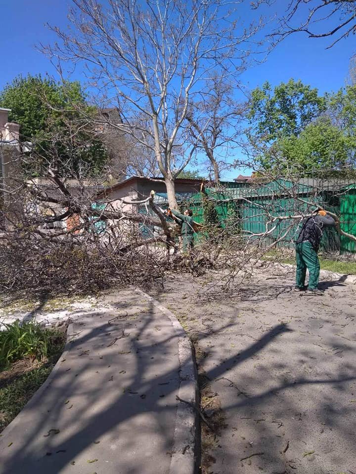 Фото: "Горзелентрест"