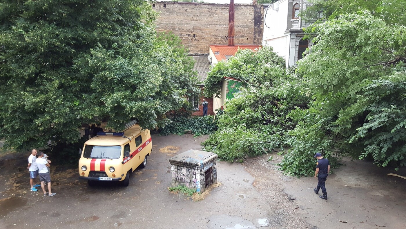 Фото: Ольга Богданова