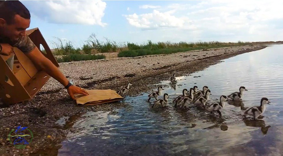 Фото: Иван Русев