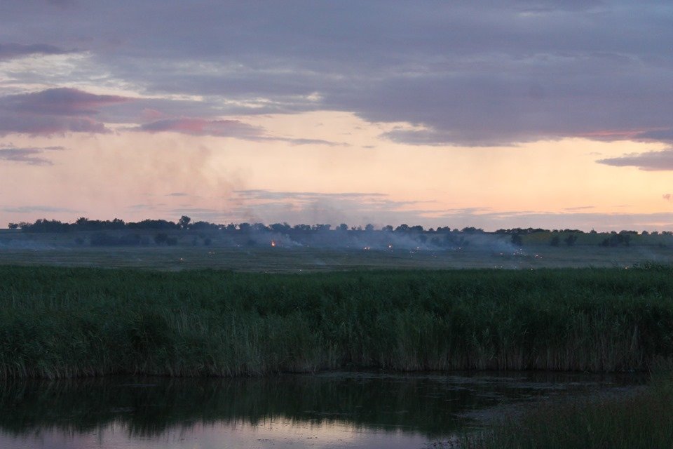Фото: Николай Лаврека