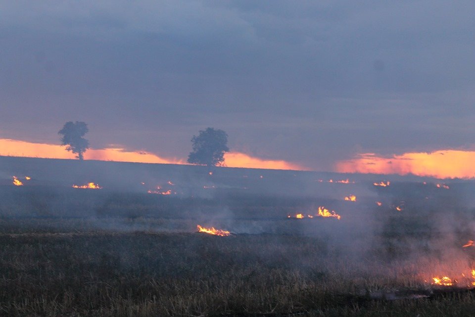 Фото: Николай Лаврека