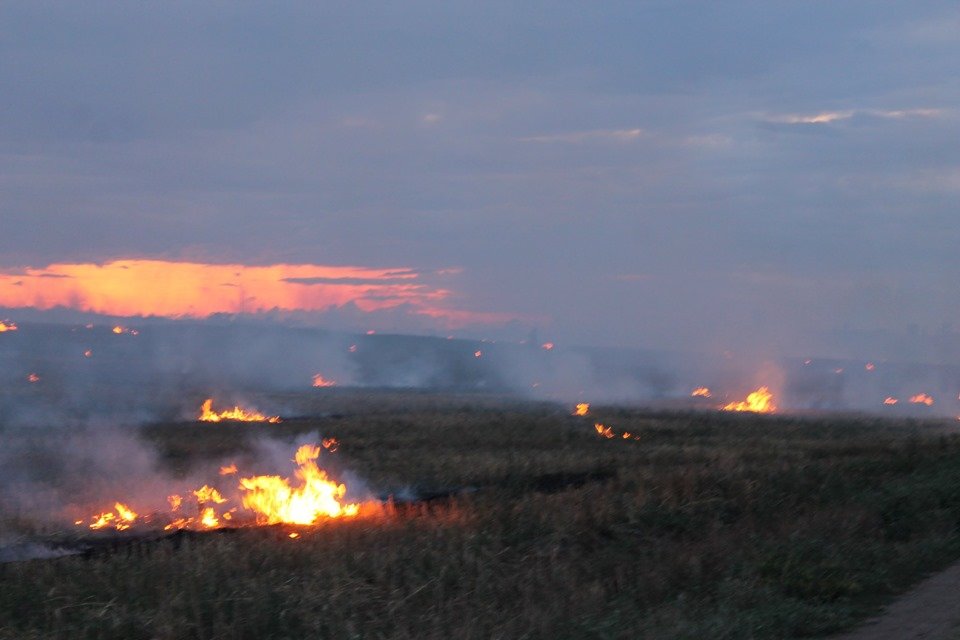 Фото: Николай Лаврека