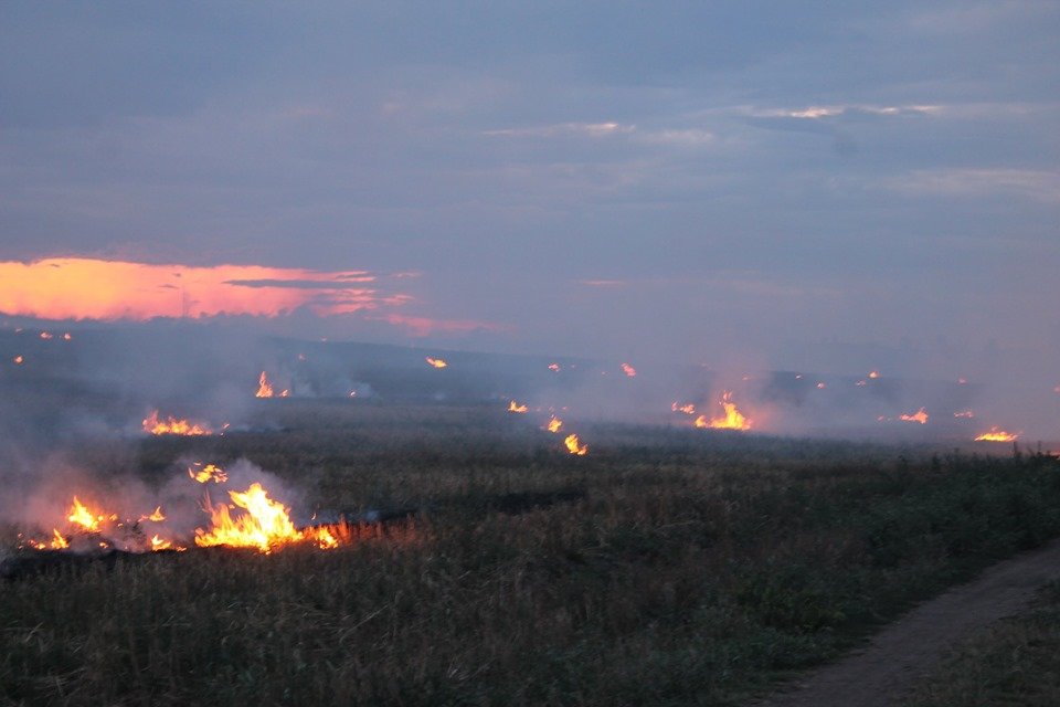 Фото: Николай Лаврека