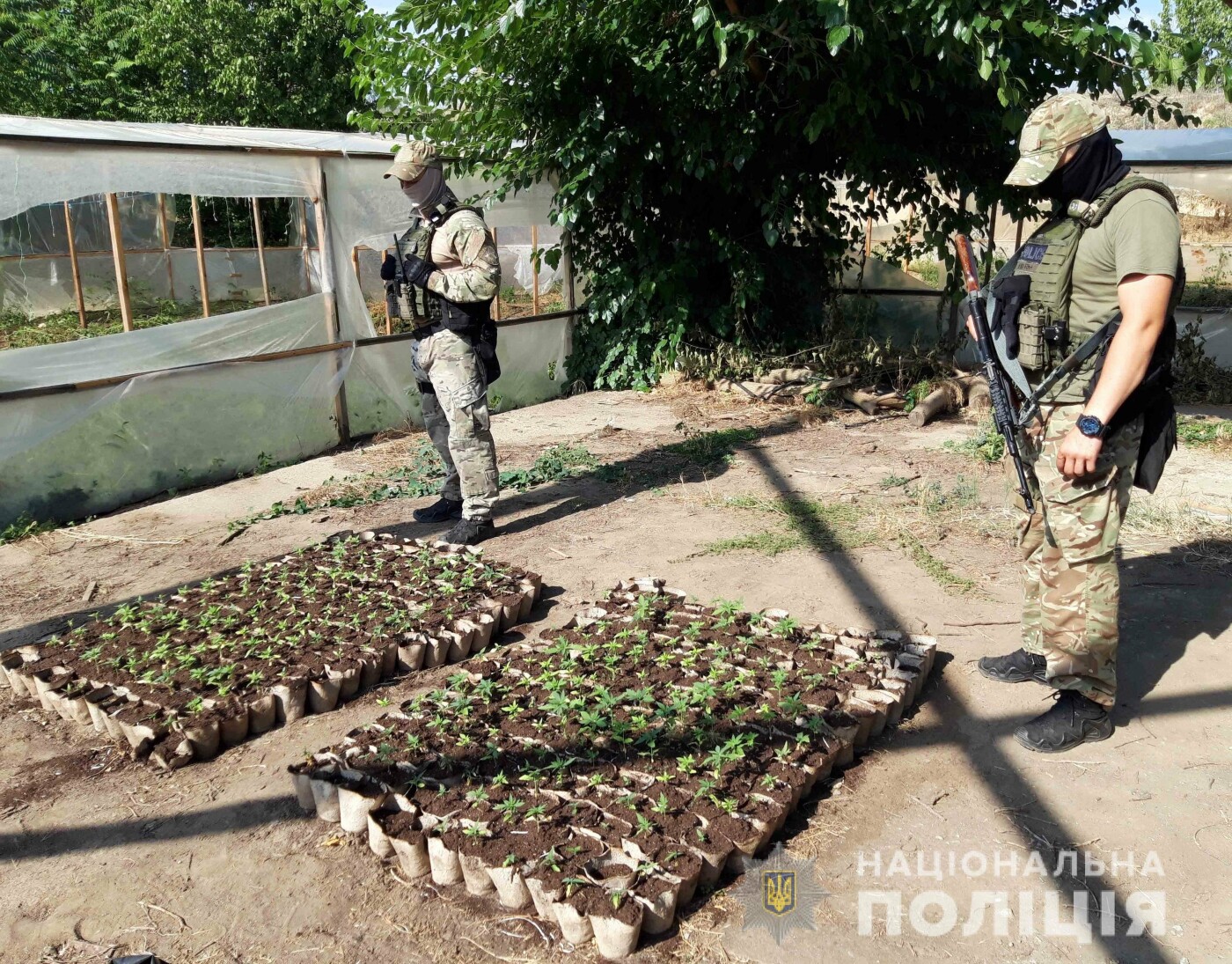Фото: Нацполиция