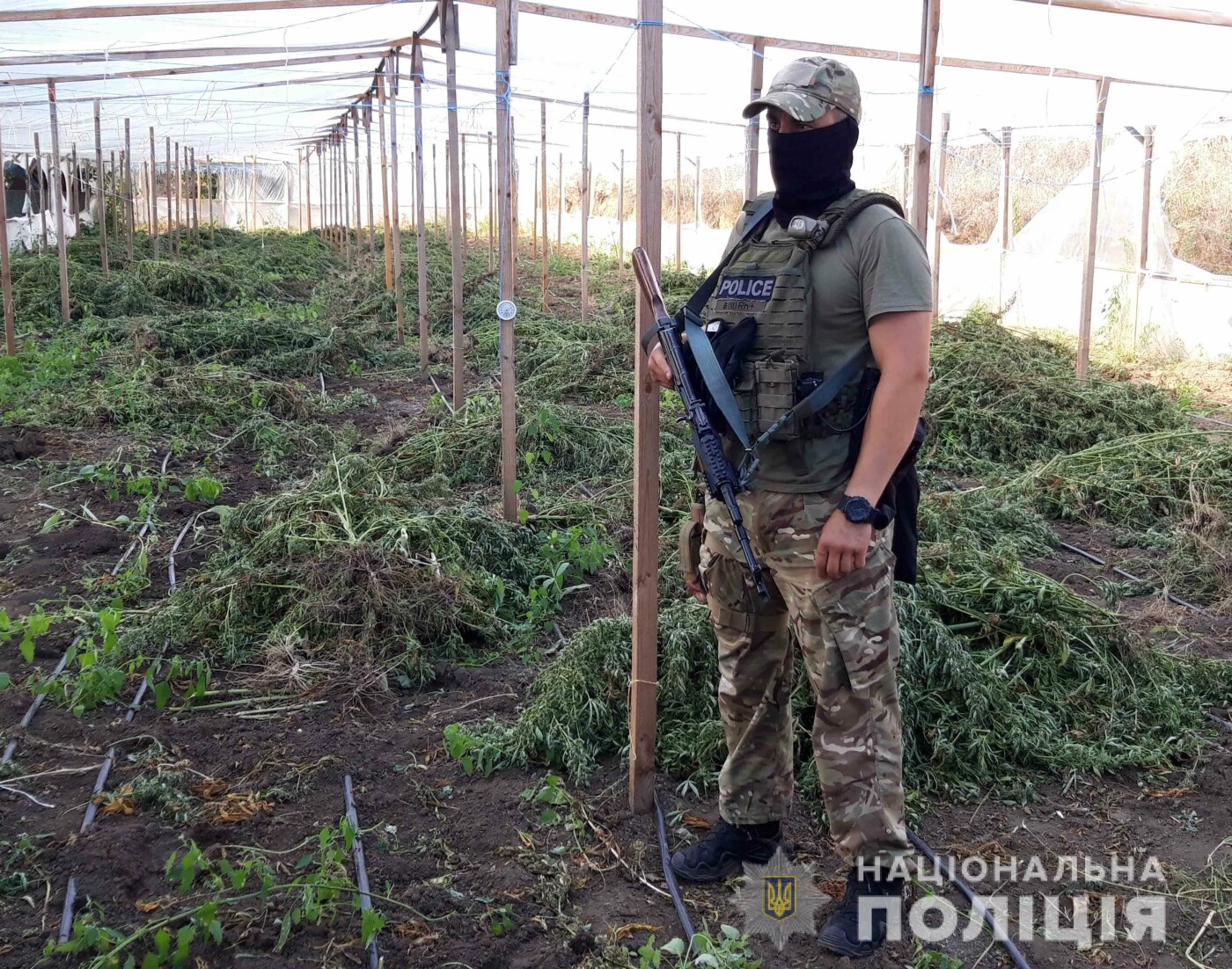 Фото: Нацполиция