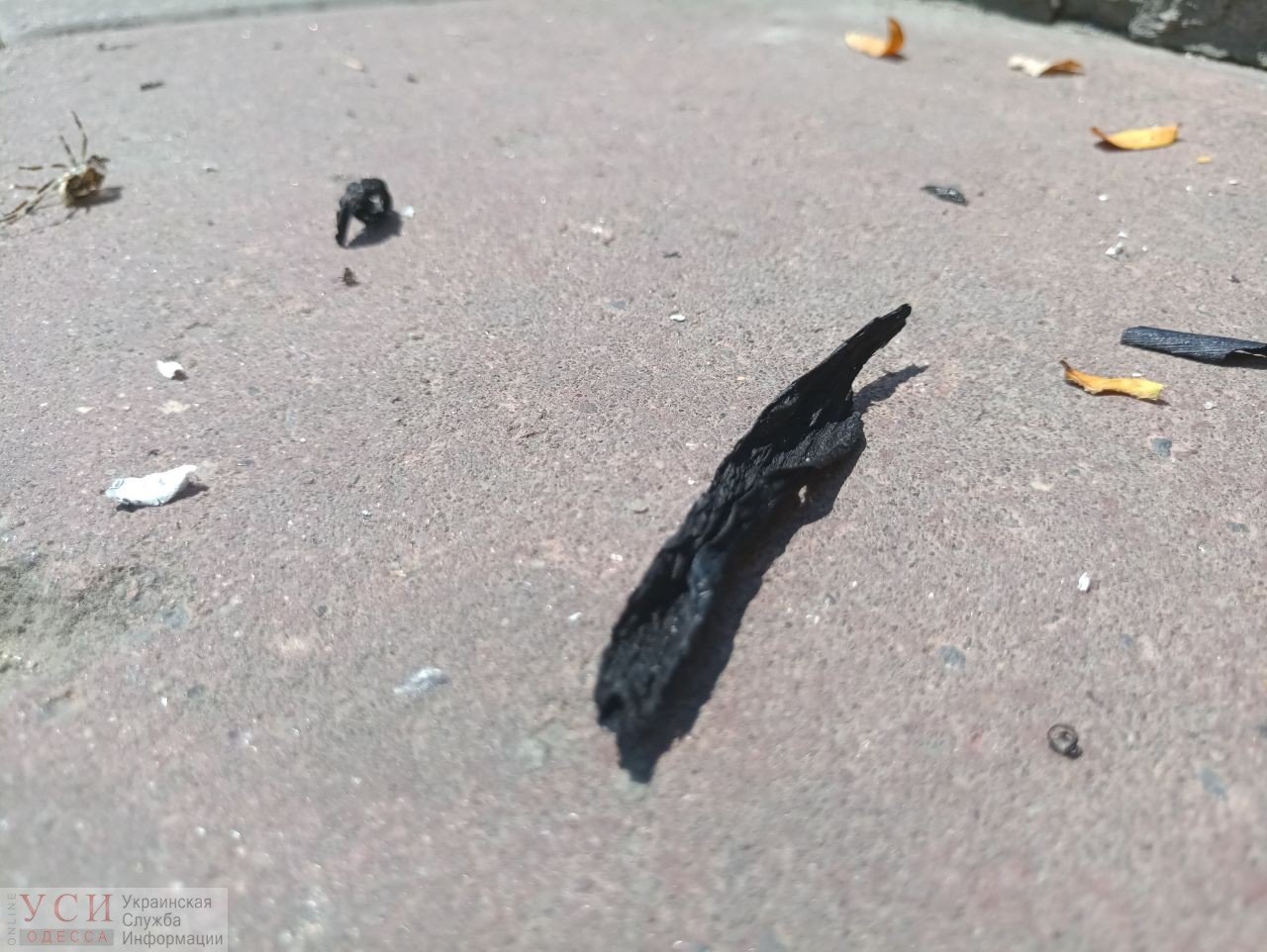 Фото: УСИ