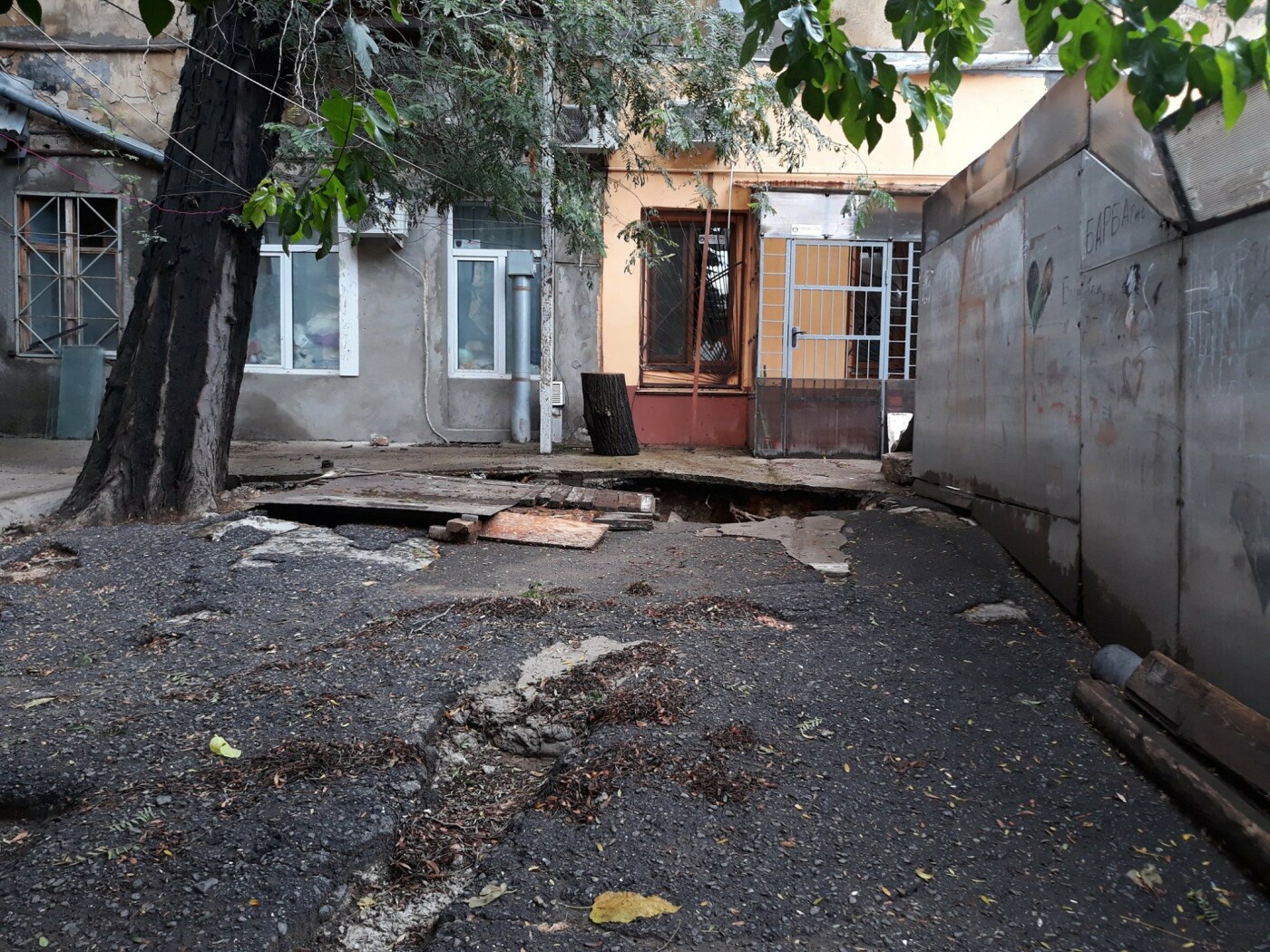 Фото: Семен Абрамович