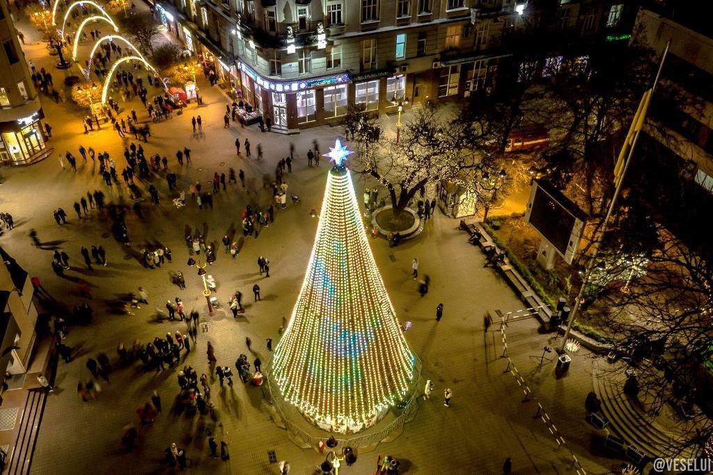 Новогодняя елка в Ивано-Франковске. Новогодняя елка в Ивано-Франковске., ФОТО: Travels in ua