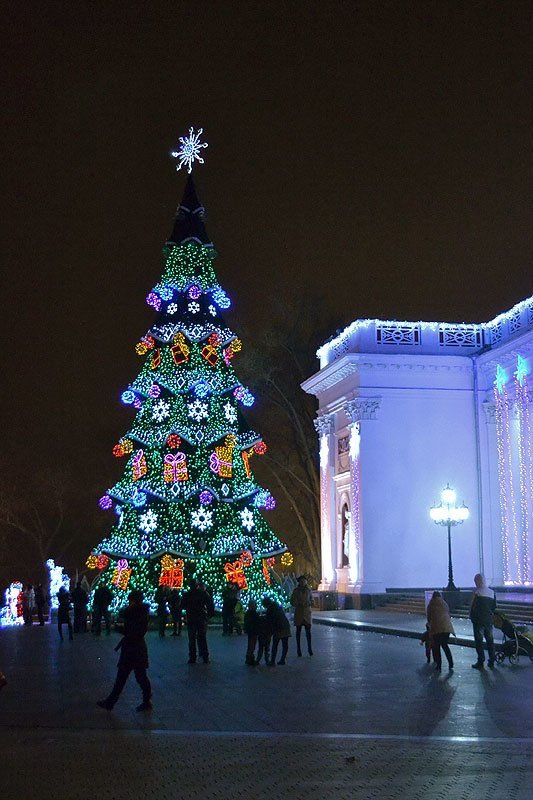 Как менялась главная одесская елка, - ФОТО, фото-4 Как менялась главная одесская елка, - ФОТО, фото-4