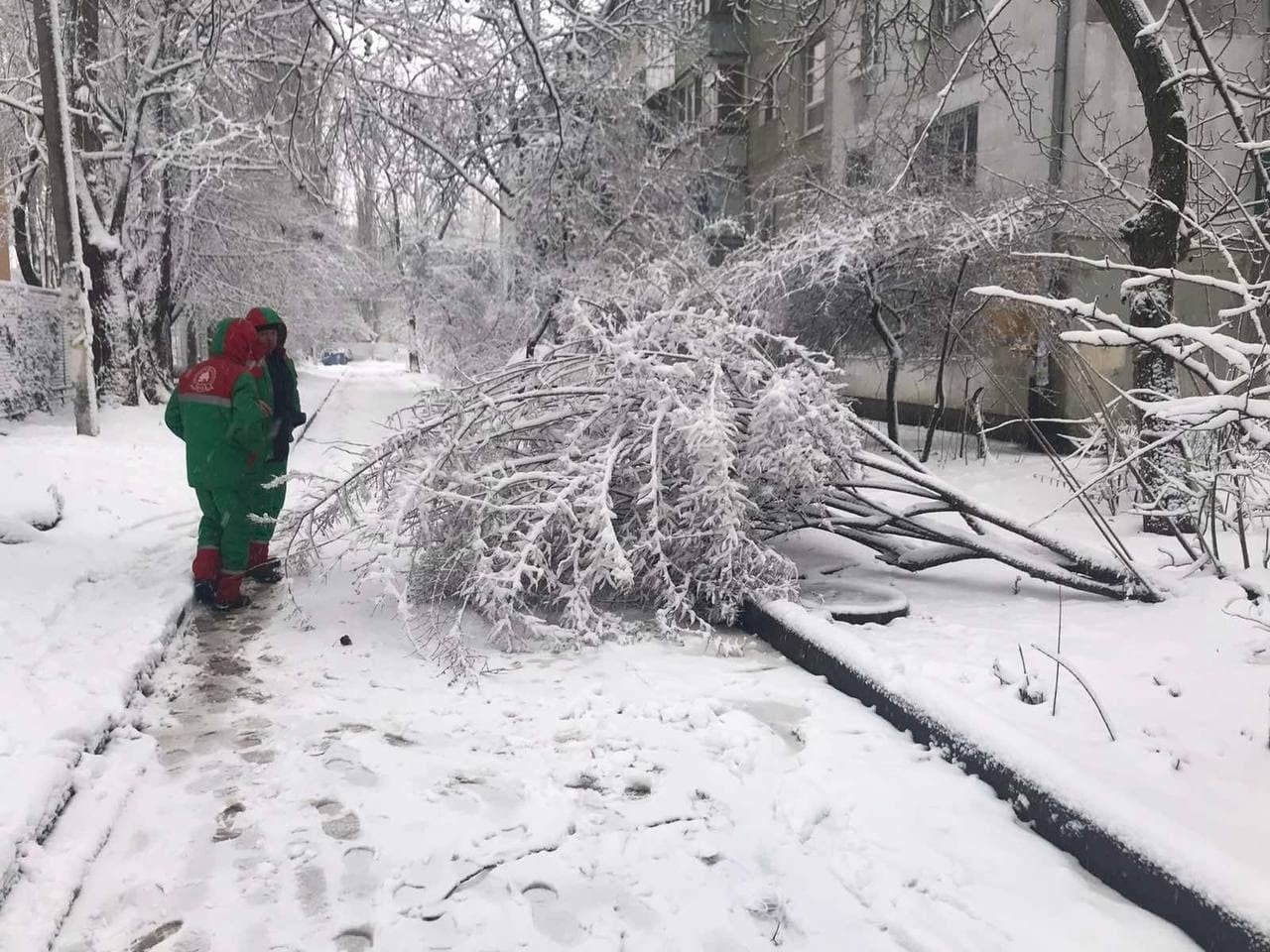 Стихия в Одессе: коммунальщики рассказали о ситуации в городе, - ФОТО, фото-3