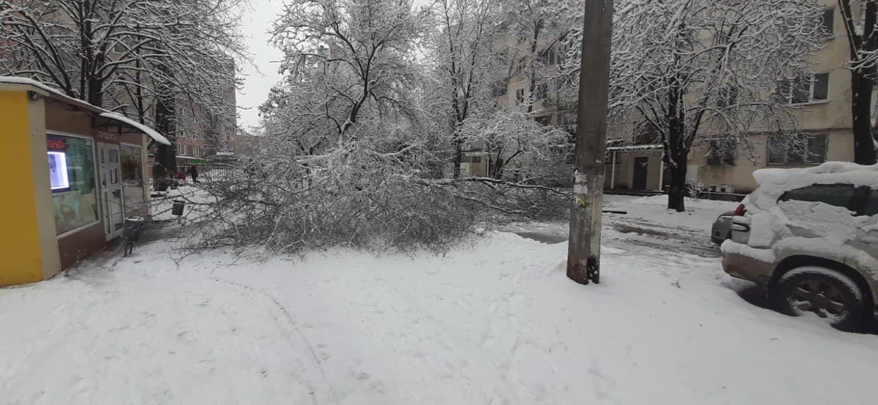 Стихия в Одессе: коммунальщики рассказали о ситуации в городе, - ФОТО, фото-8