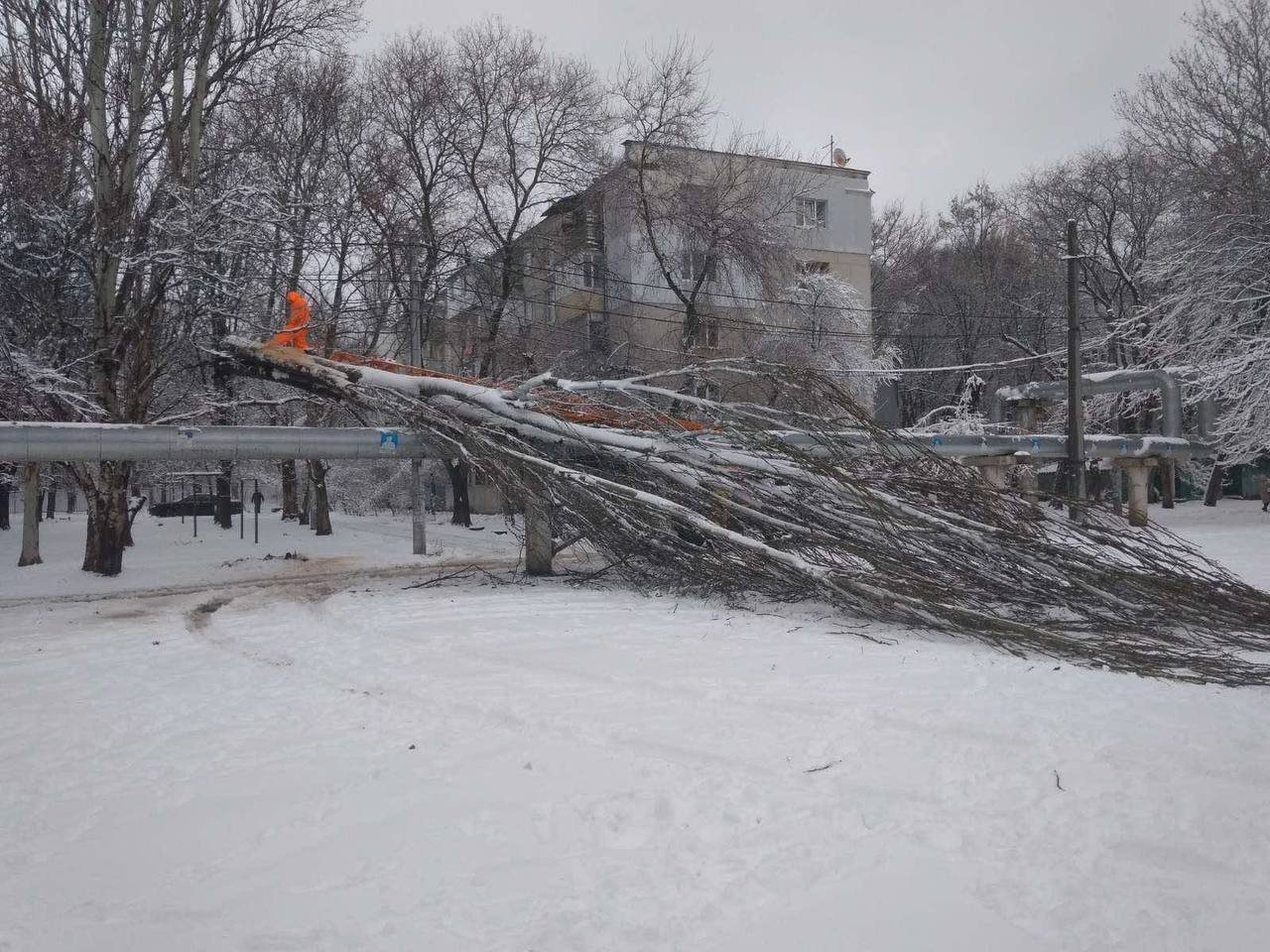 Стихия в Одессе: коммунальщики рассказали о ситуации в городе, - ФОТО, фото-2