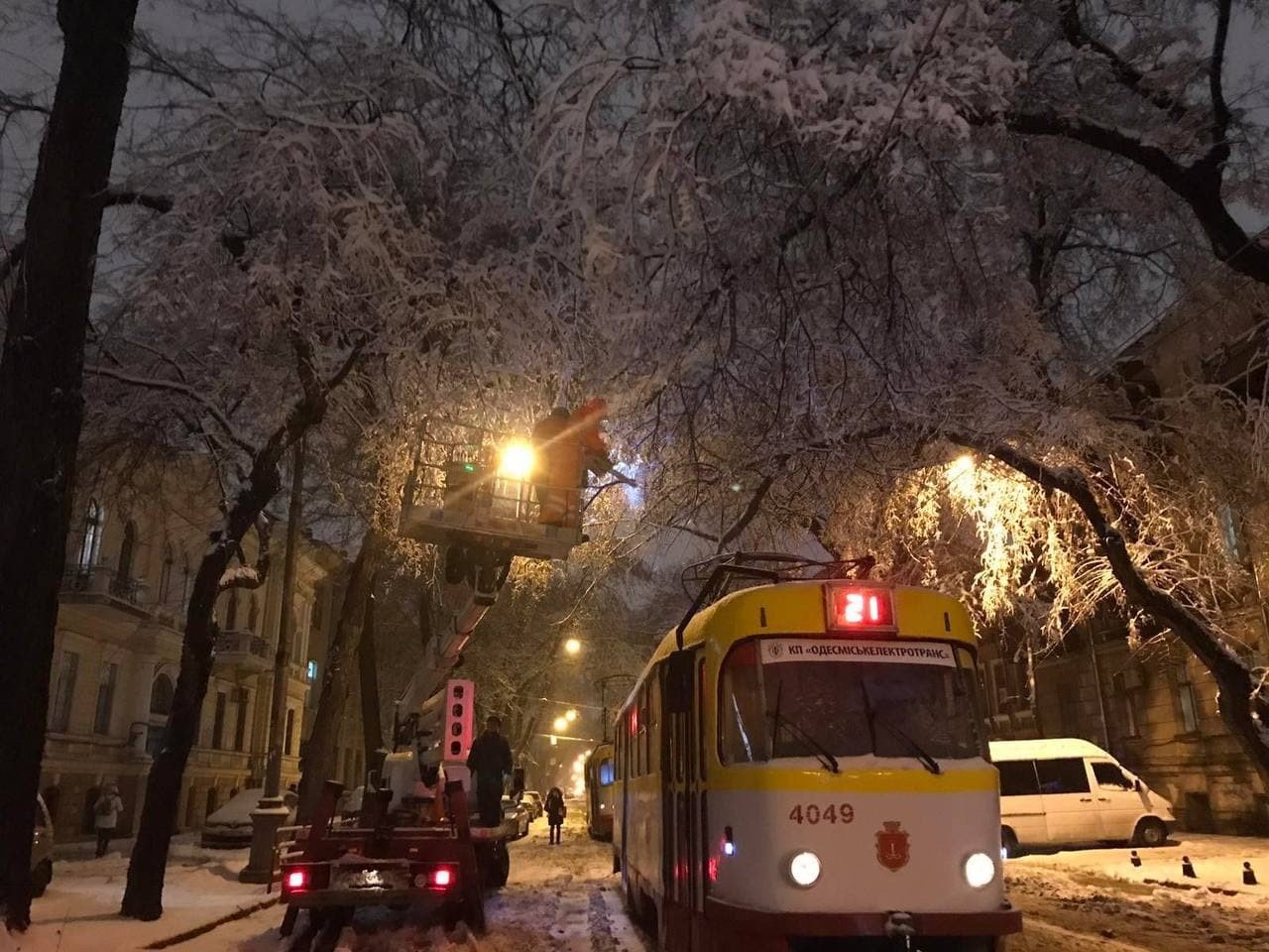 В Одессе упало почти 500 деревьев и крупных веток, - ФОТО, фото-1