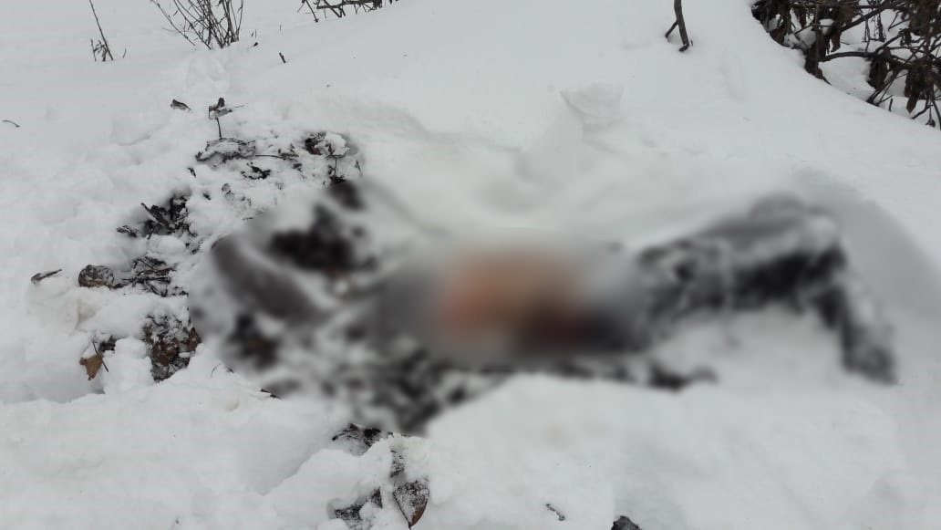 Убил и спрятал на кладбище: в Одесской области поймали подозреваемого в убийстве, - ФОТО, ВИДЕО, фото-2