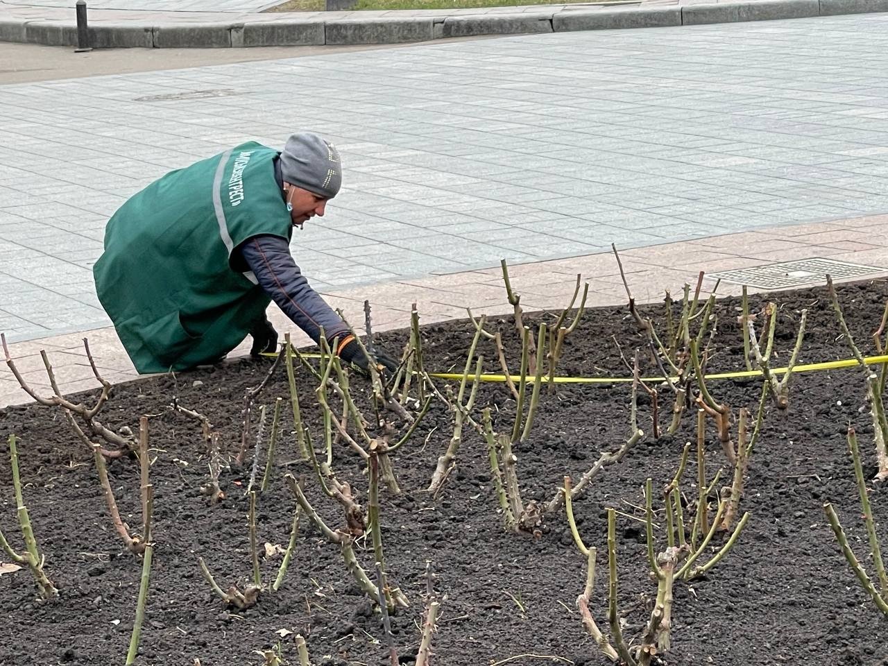 В Одессе проводят дезинфекцию детских площадок и облагораживают зелёные зоны, - ФОТО, фото-3