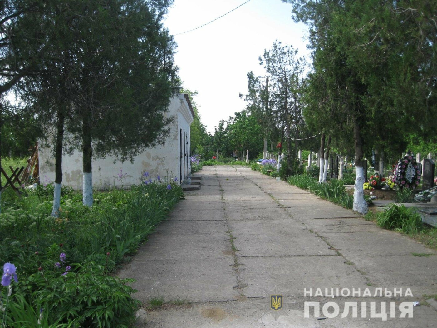 На кладбище в Одесской области стреляли в пенсионеров: они в больнице, - ФОТО, фото-1