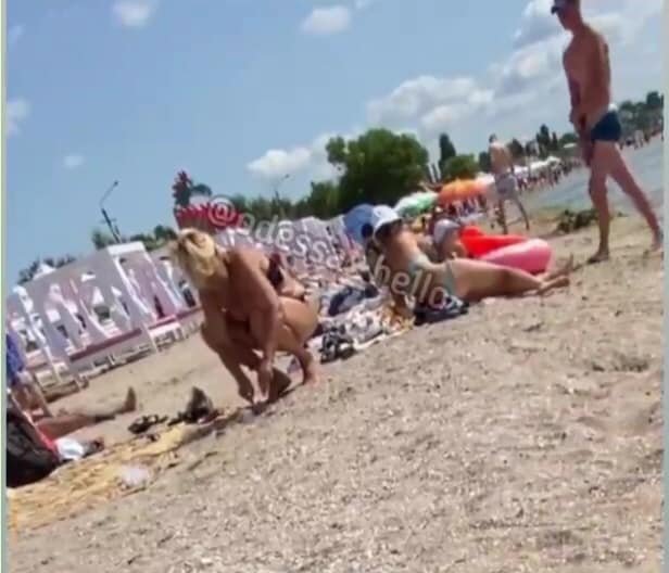 На одесском пляже пара ловила и убивала скатов, полиция на вызов не приехала, - ФОТО, фото-2