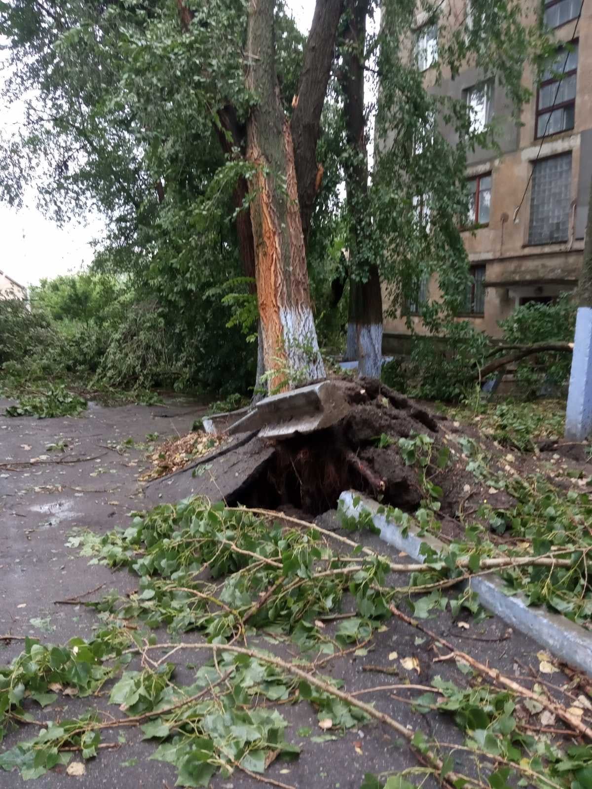 Последствия урагана в Подмосковье деревья проломили крышу